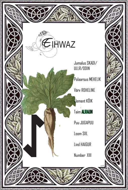 Ruun eihwaz koos teda sümboliseeriva taime alrauniga.